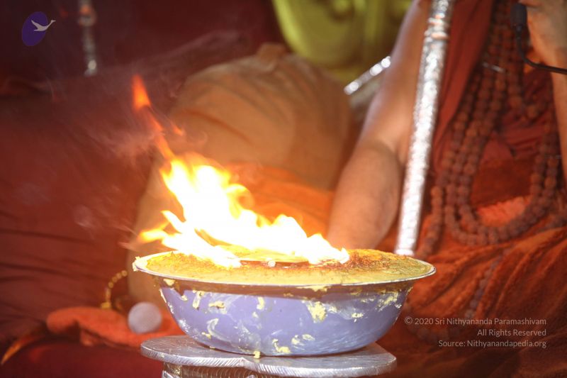 File:20170902 Photo 1113 1F9gQ-YuF5JEOqVfQsYBfnf0xBjr5Ha3y.JPG