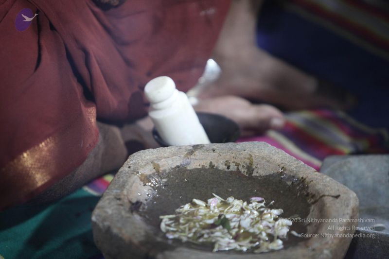 File:20170902 Photo 1236 1vM5lJYFdOLIoXnGaOaR8Jd7JPeo-7Lw8.JPG