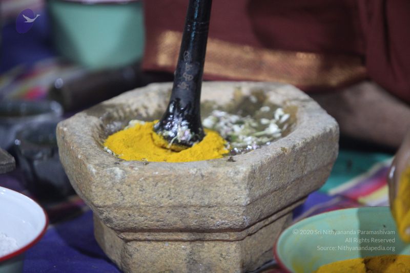 File:20170902 Photo 1248 1d2sM xZJkM6vMeTax3mMpNqAc2kIKwQ1.JPG