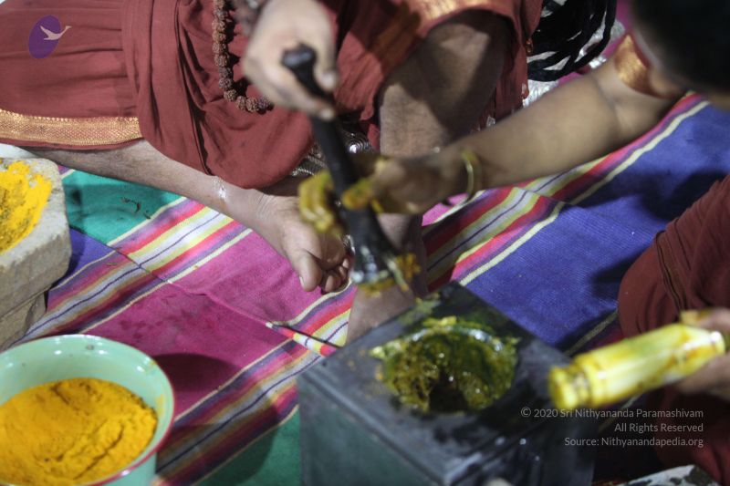 File:20170902 Photo 1260 1QOuVQP5QDJQP7z C78uYdAHAdbrInoGj.JPG