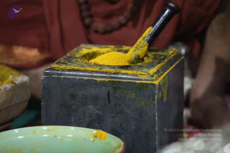 File:20170902 Photo 1268 1plSzC4EBoolSmBfX rGV4N2Ouq509OFF.JPG