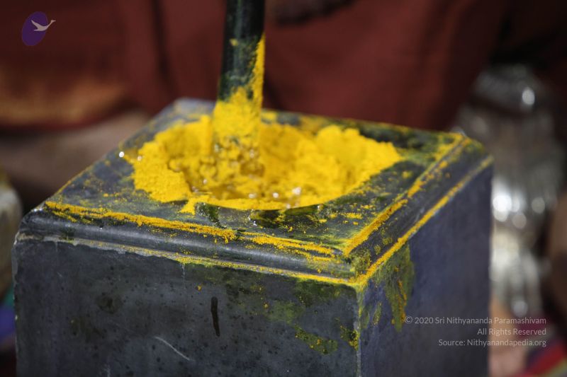 File:20170902 Photo 1270 1Me9-Z2AVY 8pqxAifULup 3yC5JnfIcF.JPG