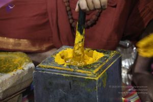 20170902 Photo 1273 13fxX275 KBuyVfr8RO9pEC-m9LmzfY3Y.JPG