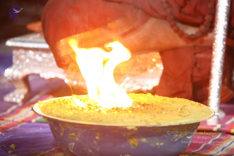 File:20170902 Photo 1356 1S1zvLWmnt6oqyyOAeF8eZi03kzl0EgAc.JPG