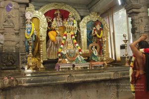 20170902 Photo 1473 11DktvUEeab5yQxBs9sl4gMmWIyWt5oiU.JPG