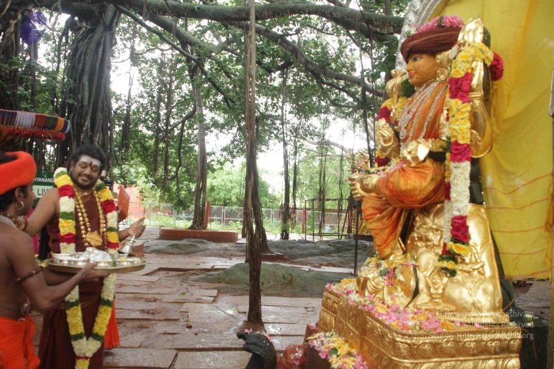 File:20170902 Photo 1520 1PNK5evCIVRHuV- LMYIbvzH--dvd6Ele.JPG