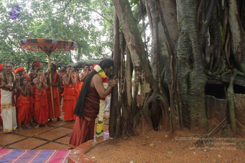 File:20170902 Photo 1570 1Pj99ZrC6y7Q3fBQvVpj tSZD3iE2vGWY.JPG