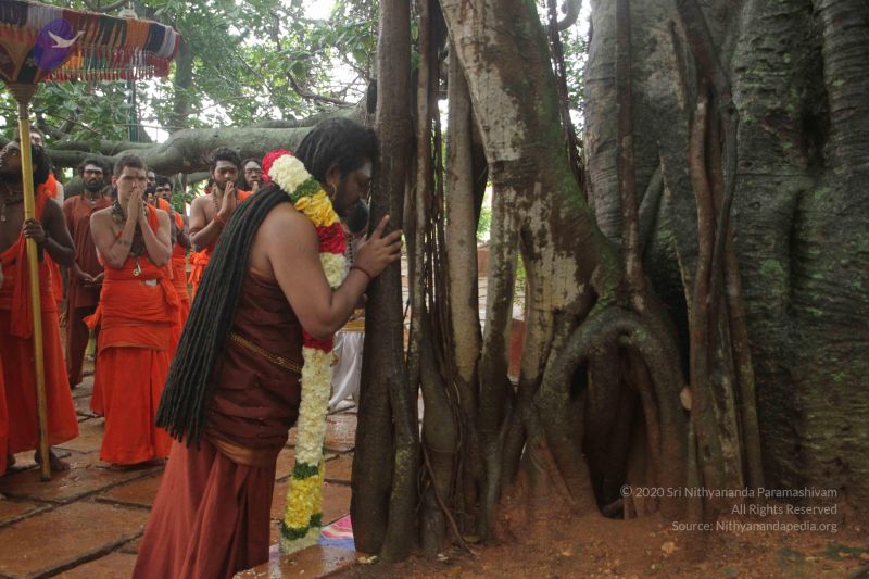 File:20170902 Photo 1571 1aicxuXt0Tohmi1bubVcP2Be0JNhLjzoy.JPG