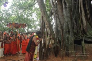 20170902 Photo 1572 1FUGUlA9hR9dOKFvVGVcvw3tHURAYZpQn.JPG