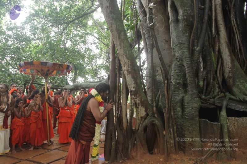 File:20170902 Photo 1572 1FUGUlA9hR9dOKFvVGVcvw3tHURAYZpQn.JPG