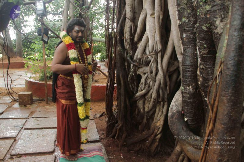 File:20170902 Photo 1574 1HCIq85KX6BWC9D5sHRBYFttyI2vbd8t1.JPG