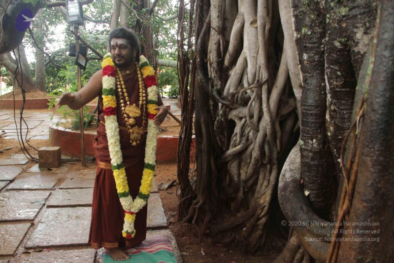 File:20170902 Photo 1575 1Pg6X50kfv7Pa7340IK6BtuJ6uGz3rOjl.JPG