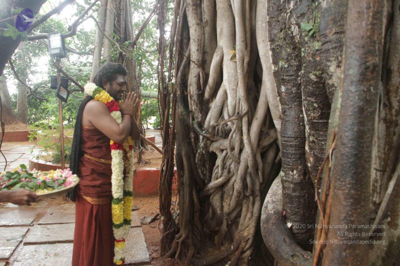 File:20170902 Photo 1577 1sXAWMM7Dm9mCXxV6CyZQ2ZUOUmnhoZ83.JPG