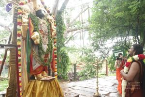 20170902 Photo 1584 1cKRmEFuePybBS9wRPDHBbBVQVMZfQ6wc.JPG