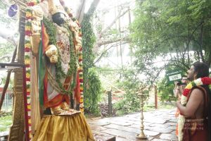 20170902 Photo 1586 1VK9dzSdTQjPQ54U sreyc9TnrhM3zJwm.JPG