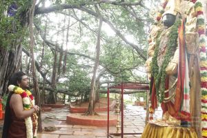 20170902 Photo 1589 1ltL q7JTFcPba8V226iDhrA1wlpOVy S.JPG