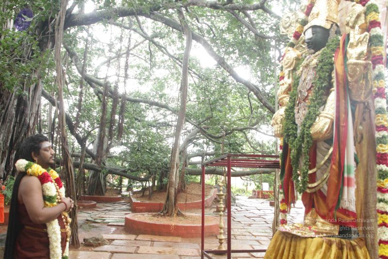 File:20170902 Photo 1589 1ltL q7JTFcPba8V226iDhrA1wlpOVy S.JPG