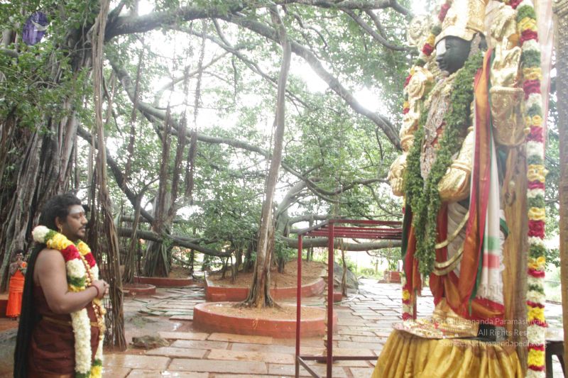 File:20170902 Photo 1591 1uY55AsDIh8jBoXcuf7AmWJ2I4uuAh6iN.JPG