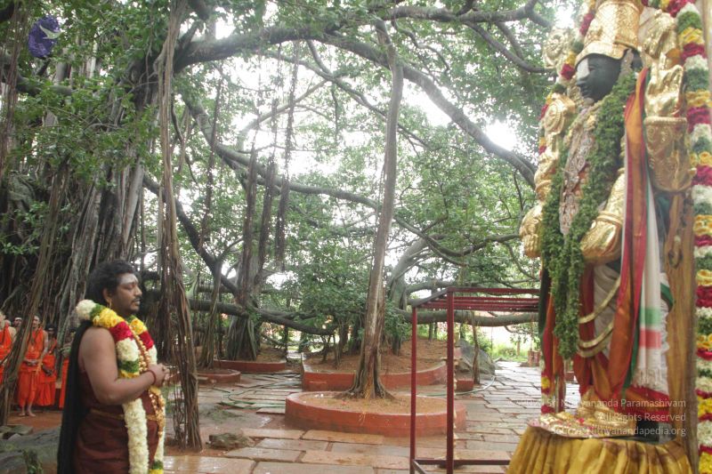 File:20170902 Photo 1592 1x-eqDE4R3usM2tQgIDbIz5PEGPvxcF7M.JPG