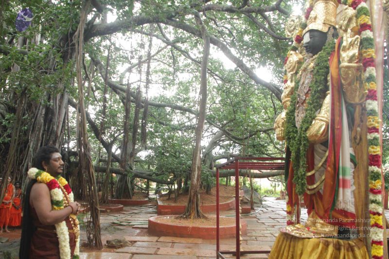 File:20170902 Photo 1594 18FVIfg3qwxxX08HzYQh25-ES8i3wv3a6.JPG