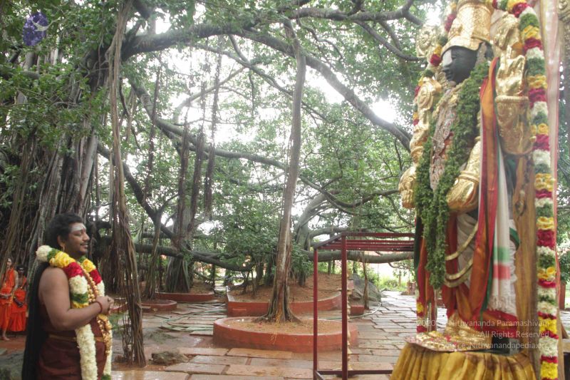 File:20170902 Photo 1596 19q-PhXvzaks6nix15nF8thKv9vjvGirI.JPG