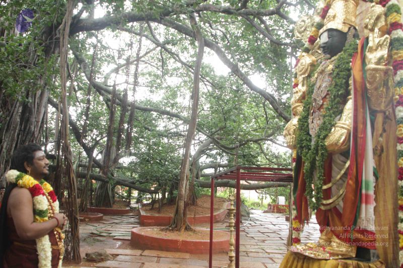 File:20170902 Photo 1597 1TNMrTlGxVbTRUvp16NBl8GCJUWgb4E8e.JPG