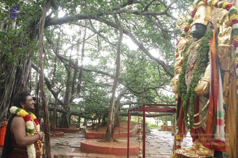 File:20170902 Photo 1601 1-h5hvt0C6-aP2ZwLbm7FmXDJX9gwTHCx.JPG