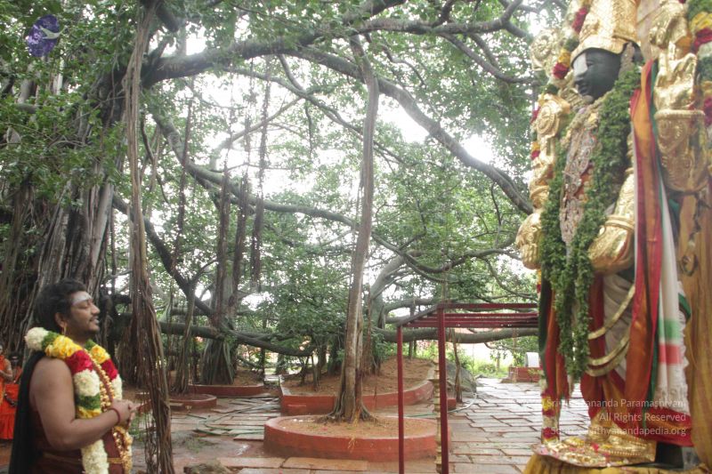 File:20170902 Photo 1602 1zw4nrRl5sUsCTaSd0HUGufE5cSsHMctA.JPG