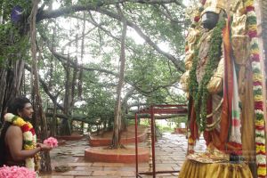 20170902 Photo 1603 1rq1gwCJfHne3fKWHG2oFIzOHmL7n8hHX.JPG