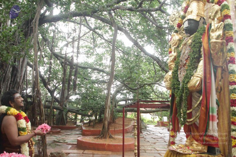 File:20170902 Photo 1607 1D2wlw394qjPmSMV3V2WnUusoQimheTxc.JPG