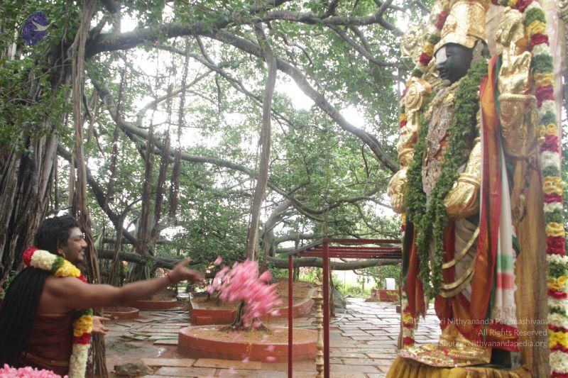 File:20170902 Photo 1609 1nr9CyTi7U9oIMIAHqkg50ymAuxanT1rw.JPG