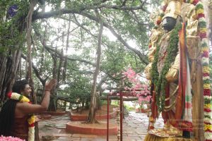 20170902 Photo 1610 1qduh-Ppieq99wzPDdN65dWXUwfoHP4nL.JPG