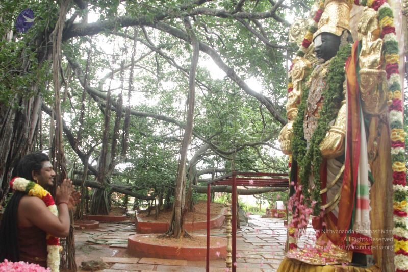 File:20170902 Photo 1611 1sOvchlktfl5f2KRHnKycjS-VAW7oElgj.JPG