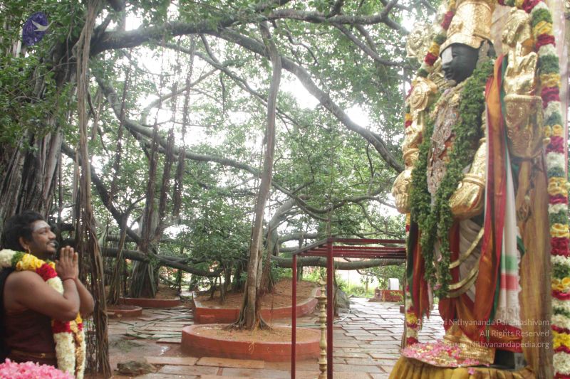 File:20170902 Photo 1614 15Qhsxal1yTo7ekBeA-orbX7ciDu0-XXT.JPG