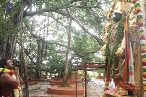 20170902 Photo 1618 10WXKgTU-ekZf2j9lhTvDf0P69XA0ggSn.JPG