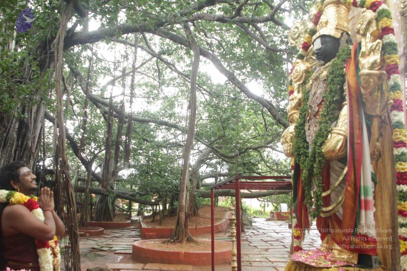 File:20170902 Photo 1618 10WXKgTU-ekZf2j9lhTvDf0P69XA0ggSn.JPG