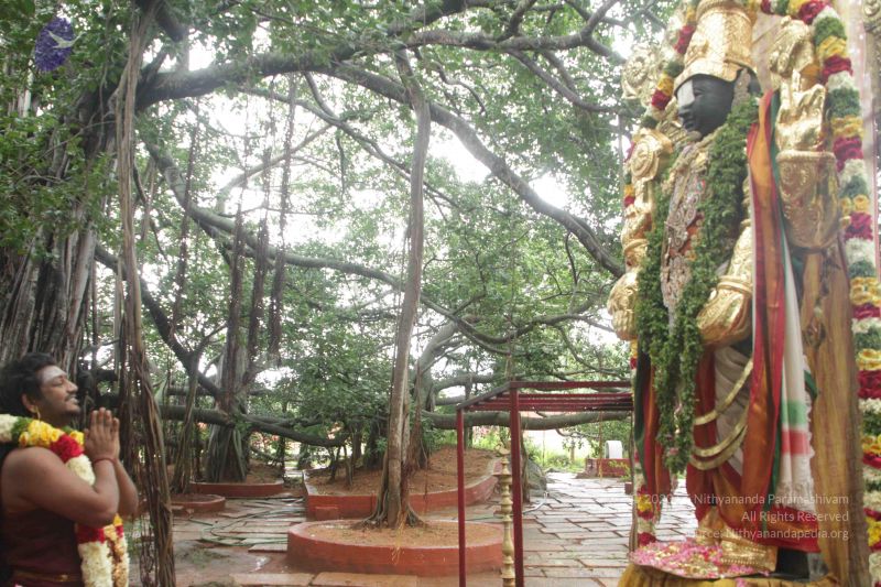 File:20170902 Photo 1619 1hureDt Sr1aILw0jOQk0QczuB5eYtanx.JPG