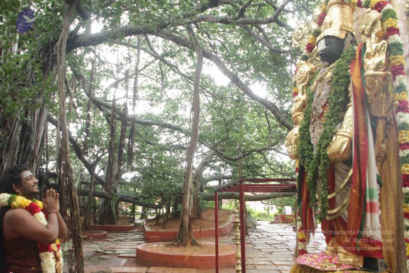 File:20170902 Photo 1620 1tuLPksoD6xwoBPeB32Eko16o9pMAV33v.JPG