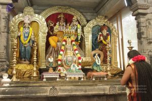 20170902 Photo 1630 1TcJDOSqiAGXipamnxvVSM6inJolgBxfP.JPG