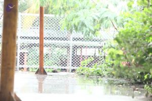 20170902 Photo 1644 1J71bLuq75TWENGCtDUyF62e-MAWX QKB.JPG