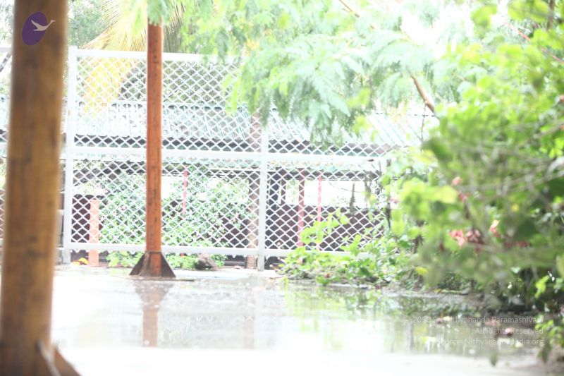 File:20170902 Photo 1644 1J71bLuq75TWENGCtDUyF62e-MAWX QKB.JPG