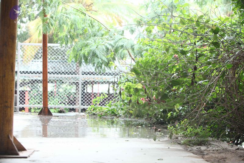 File:20170902 Photo 1645 1HrLUxXrdPqIzACZTrcs3SZQp6mvKLJuM.JPG