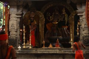 20170902 Photo 1646 1U5jXNAHg1HuORcP45o2zS7Eb av6snUk.JPG