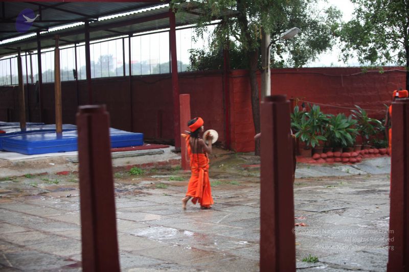 File:20170902 Photo 1652 1ERg2qHydQaYaNxjQxFDYQirsCnRIPeOU.JPG