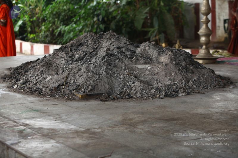 File:20170902 Photo 1659 1muVVoDYl13PqCd2z7riWyErnS6 Wxas4.JPG