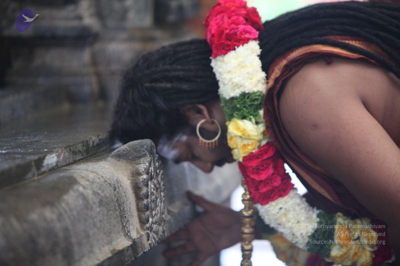 File:20170902 Photo 1678 1y4yG-UvgI68PTTTOVSeFYyM JwxzExll.JPG