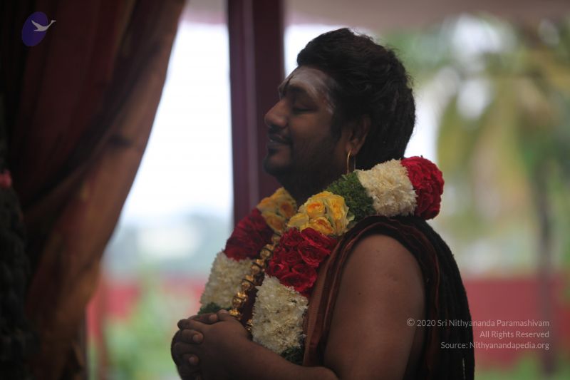 File:20170902 Photo 1683 10AJ1kyb80WP LuWY0jpX95oO0Y3DW12x.JPG