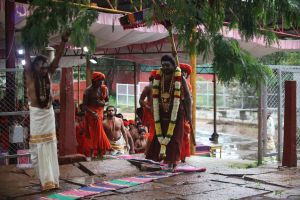 20170902 Photo 1686 1f5x6ubAyCyi1n a6g6ohNtszs OgPL5m.JPG