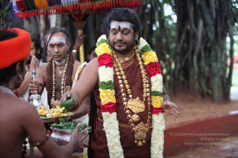 File:20170902 Photo 1702 13bQNFJhjnZu FsGBkP3fcebIqKDx45fH.JPG