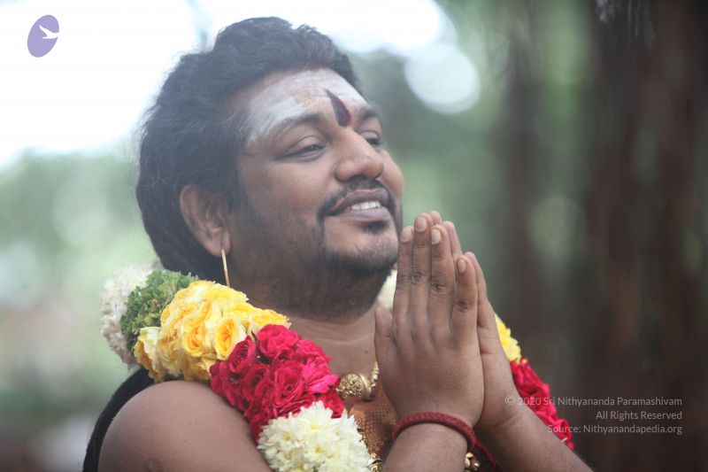 File:20170902 Photo 1712 1-u0Ri0M2z7X6EI3lksxxdPam8T4aapcT.JPG